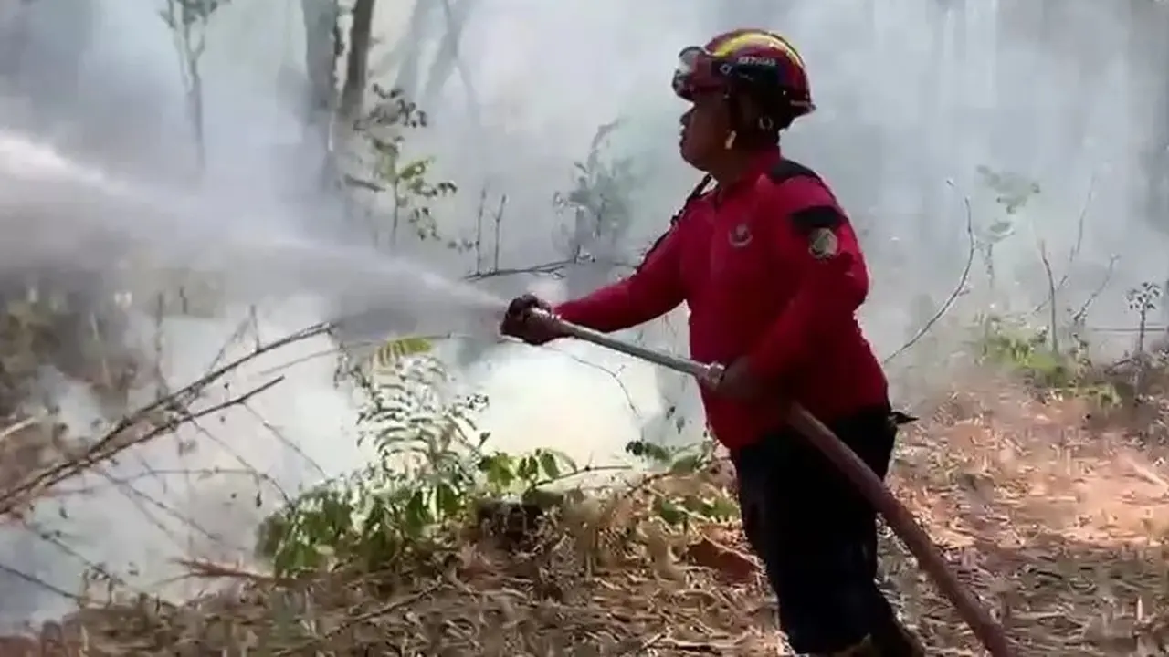 5 Hektare Lahan Perhutani  di  Gunung Budeg Hangus Terbakar Akibat Karhutla