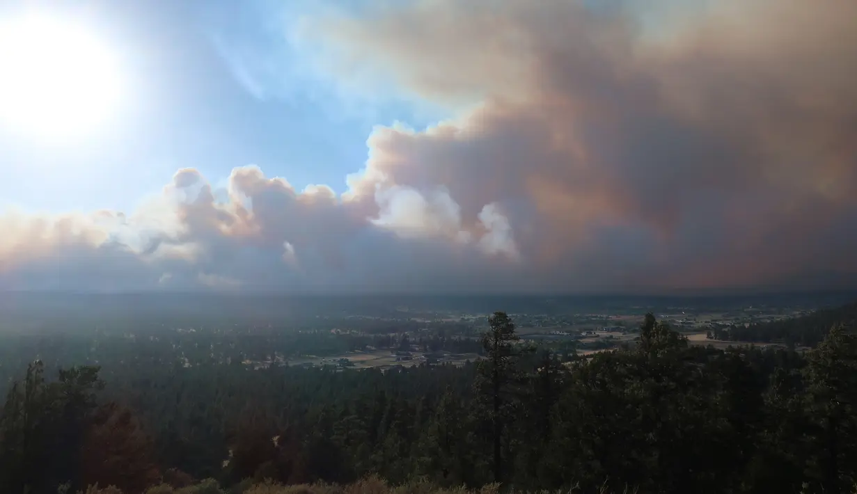 <p>Asap mengepul memancarkan cahaya di atas lingkungan di atas lingkungan di pinggiran Flagstaff, Arizona, Minggu (12/6/2022). Evakuasi telah diperintahkan untuk rumah-rumah di daerah tersebut. Pihak berwenang mengatakan petugas pemadam kebakaran menanggapi kebakaran hutan sekitar enam mil di utara Flagstaff yang telah memaksa evakuasi. (AP Photo/Felicia Fonseca)</p>