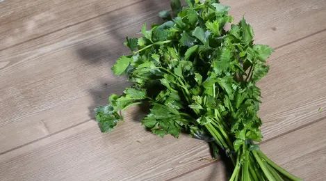 Biar Penyakit Hilang Makan 5 Tanaman Herbal Yang Lancarkan Peredaran Darah Lifestyle Fimela Com
