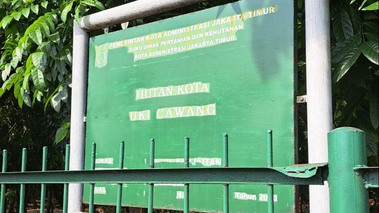 "Jarang yang pakai mobil odong-odong. Mereka orang-orang high class semua," ujar Badrudin.