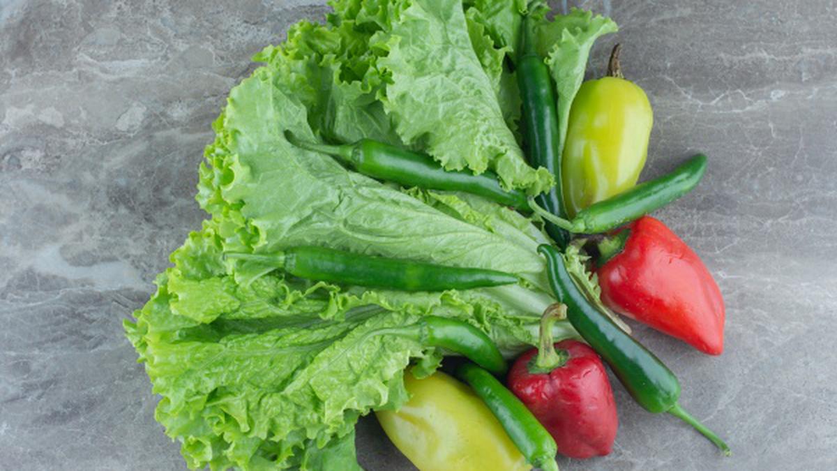 7 Trik Menanam Sawi di Pot, Panduan Berkebun Sederhana yang Mudah Diikuti