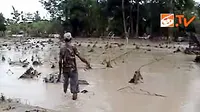 Banjir, Petani Belu Gagal Panen