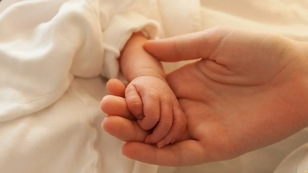 Photo: Copyright teco-baby.com