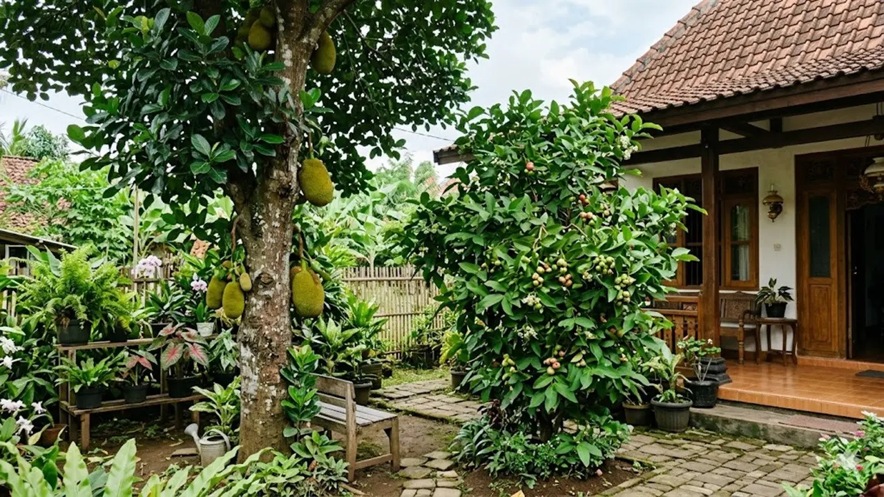 Pohon di Halaman Rumah