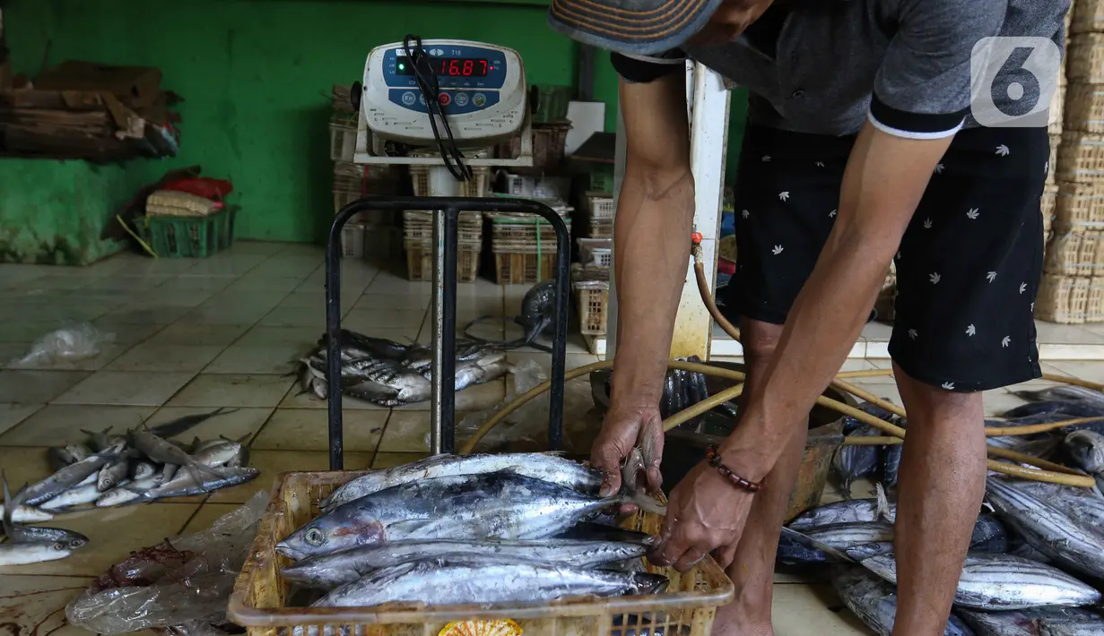 Pekerja bersiap merebus ikan cakalang untuk dijual ke pasar di Rumah Produksi Ikan Cakalang, Jagakarsa, Jakarta, Sabtu (19/11/2022). Kementerian Kelautan dan Perikanan (KKP) mengajak masyarakat untuk mengkonsumsi olahan ikan asli Indonesia yang komposisi gizinya tidak kalah dengan ikan impor dan harga yang lebih terjangkau. (Liputan6.com/Herman Zakharia)