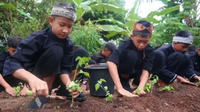 Cara Kreatif Daerah Memerdekakan Diri dari Pedasnya Harga Cabai