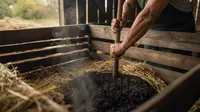 Cara Membuat Pupuk Kandang yang Benar agar Cepat Matang dan Aman untuk Tanaman