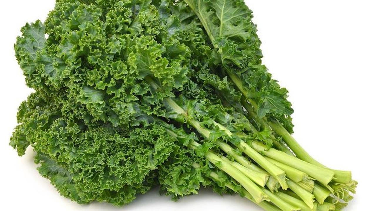 Ilustrasi Sayur Kale (©Pinterest)