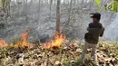 Petugas Dinas Kehutanan berusaha memadamkam api yang membakar hutan jati di Kecamatan Juwangi Boyolali, Jawa Tengah, Senin (6/8). Kebakaran mengakibatkan batang pohon jati kehitaman dan dedaunan menjadi layu. (Liputan6.com/Gholib)