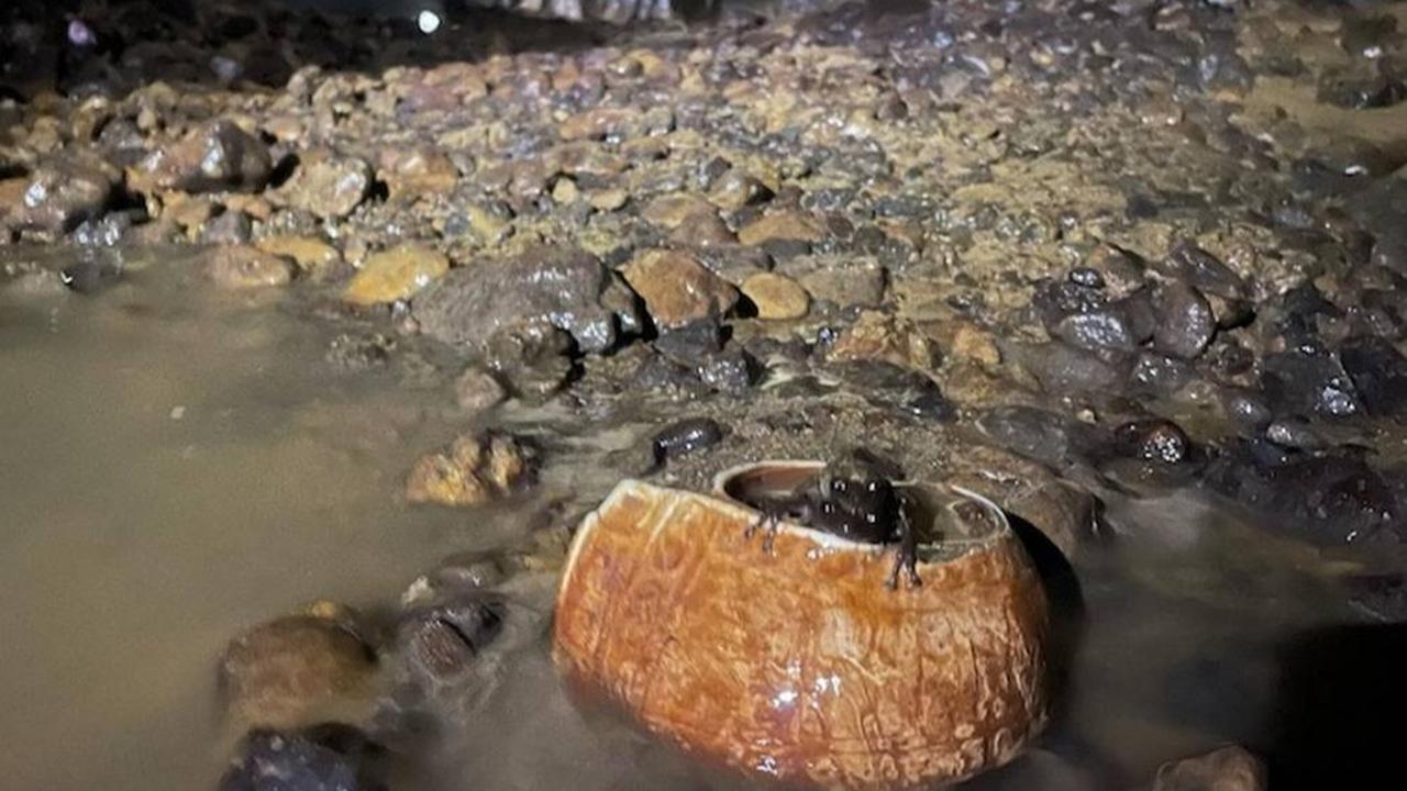 Temukan Ruangan Rahasia di Dalam Gua, Arkeolog Kaget Setelah Lihat Isinya