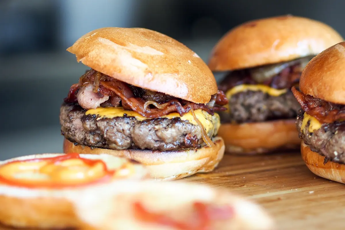 Ilustrasi Burger