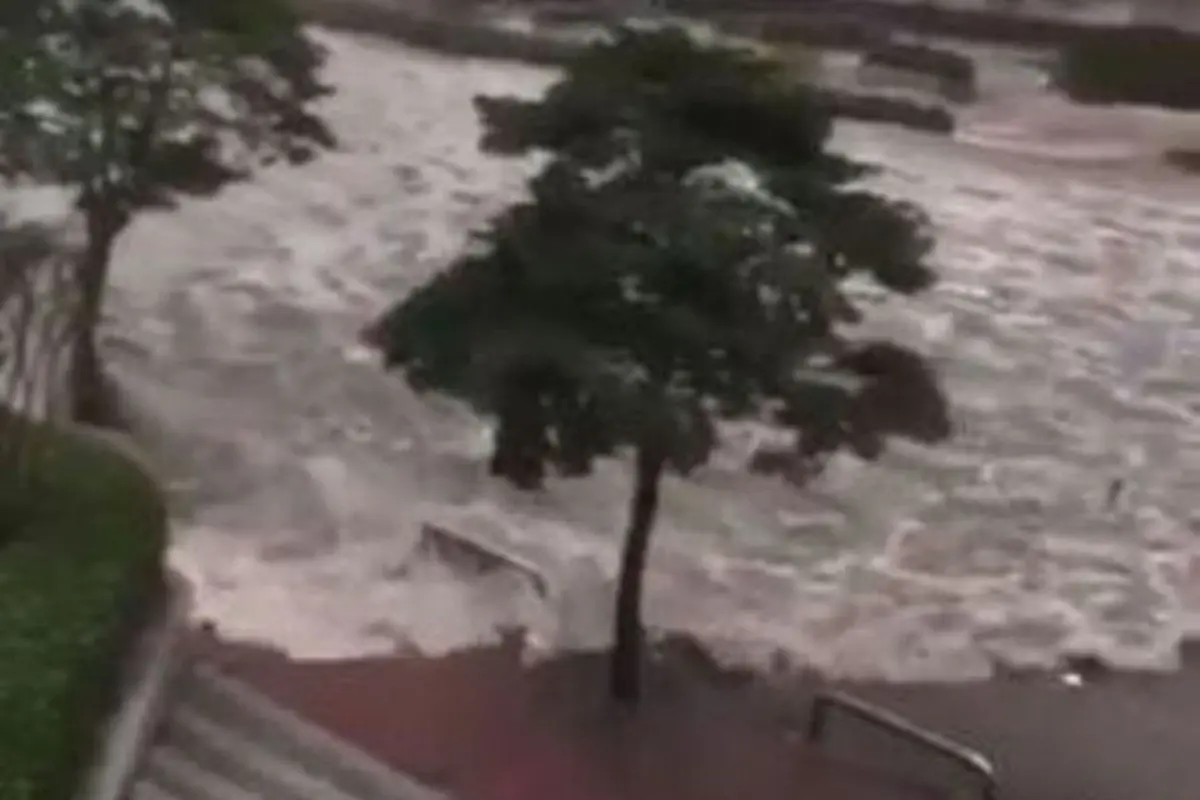 [Bintang] 10 Video Pendek Topan Chaba di Busan Korsel yang Memilukan
