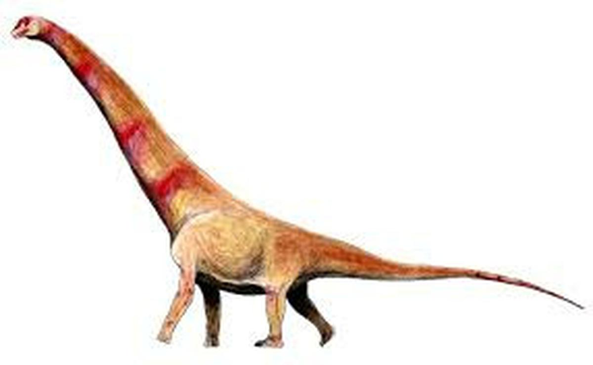 8 Titanosaurus Terbesar: Mengungkap Rahasia Raksasa Zaman Kapur