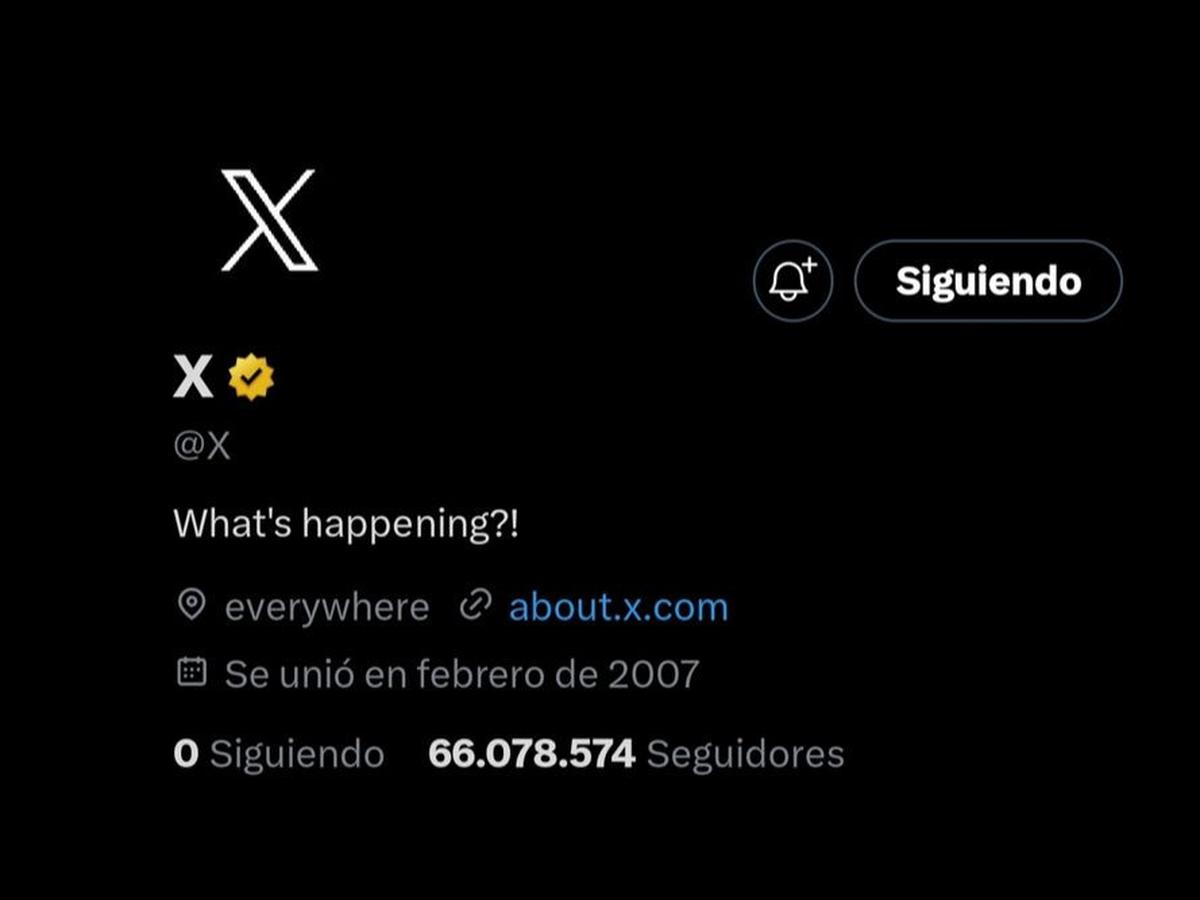 Tak Bisa Blokir Akun di Platform X