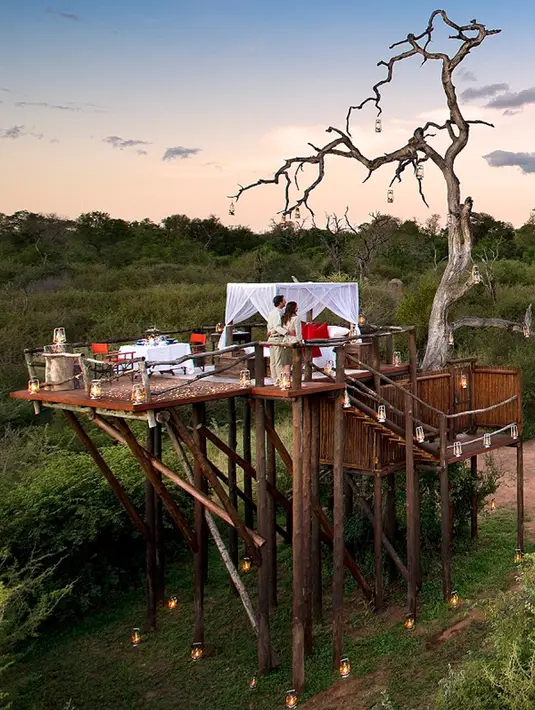 Rumah pohon di Chalkley Treehouse di Lion Sands Game Reserve, Afrika Selatan ini didesain dengan begitu romantis. Hotel yang terletak di Sabi Sands, Afrika Selatan tersebut mendapat rekomendasi bintang lima. (dailymail.co.uk)