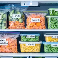 Frozen Food Sayuran/Gemini AI