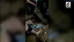 Awalnya bocah ini dinyatakan telah meninggal. Namun, secara tiba-tiba bocah ini berteriak saat proses pemakaman.