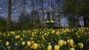Pengunjung mengagumi rangkaian bunga di taman bunga Belanda yang terkenal di dunia, Keukenhof, Lisse, Belanda, 12 April 2022. Keukenhof merupakan taman bunga terbesar di dunia dengan tujuh juta kuntum bunga tulip yang ditanam setahun sekali di taman tersebut. (AP Photo/Peter Dejong)