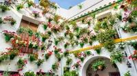 Melihat Warna Warni 'Perang Bunga' di Cordoba, Spanyol