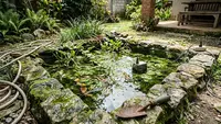 8 Kesalahan Merawat Kolam Mini yang Bikin Airnya Cepat Berlumut, Wajib Dihindari