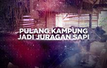 VIDEO: Banting Setir Jadi Peternak Milenial