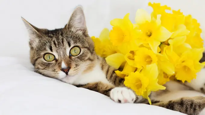 Ilustrasi (c) shutterstock