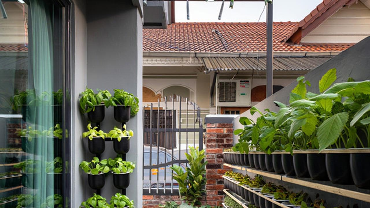 9 Model Rumah Mungil tapi Punya Halaman Belakang untuk Hidroponik, Mini tapi Maksimal