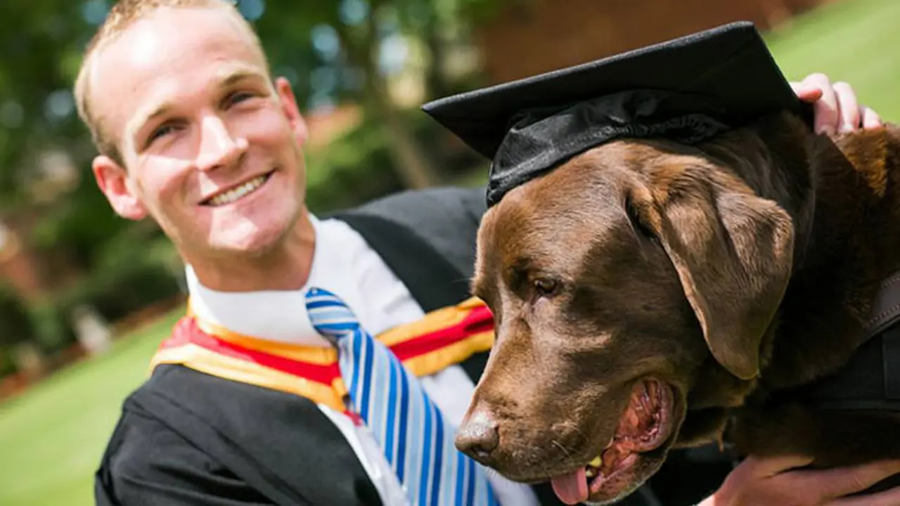 Anjing wisuda