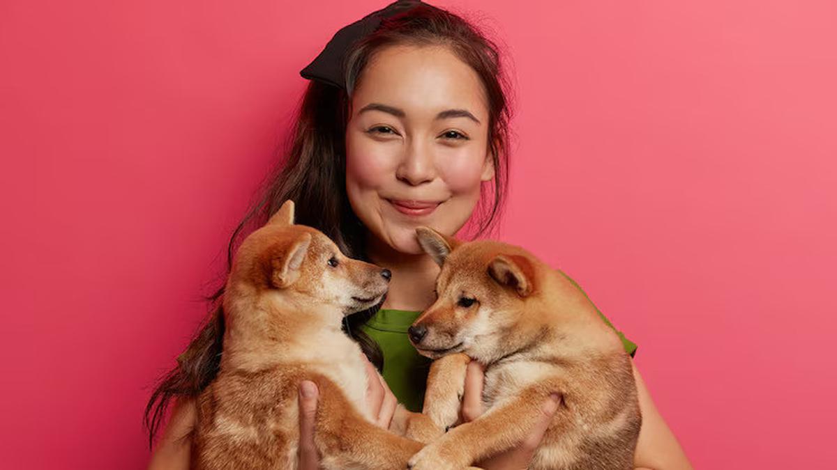 Kenali Ciri-Ciri Anjing Peliharaan Bahagia, Cek Jam Tidur hingga Perilakunya