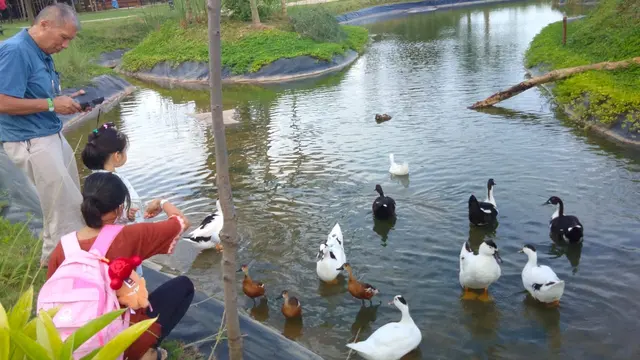 Aviary Park