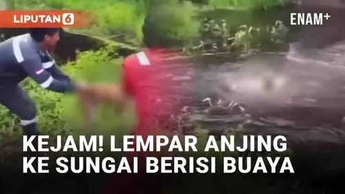 VIDEO: Tuai Kecaman Warganet! Dua Pekerja Lempar Anjing ke Sungai Hingga Diterkam Buaya