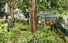 Suku Dinas Pertamanan Jakarta Barat Gencarkan Pembersihan Taman Cegah Prostitusi Liar