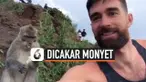 DICAKAR MONYET