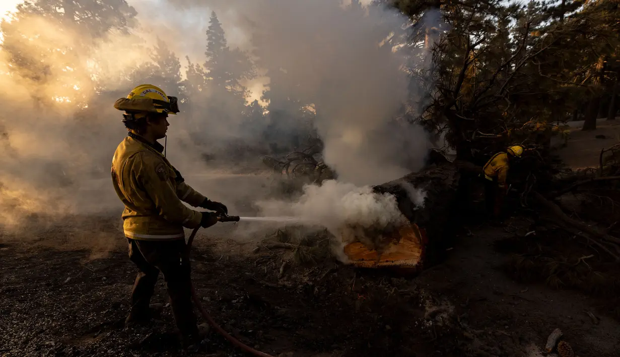 Petugas pemadam berupaya memadamkan api di lokasi jembatan yang terbakar di perbukitan Big Pines dekat Wrightwood, California. pada tanggal 12 September 2024. (ETIENNE LAURENT/AFP)