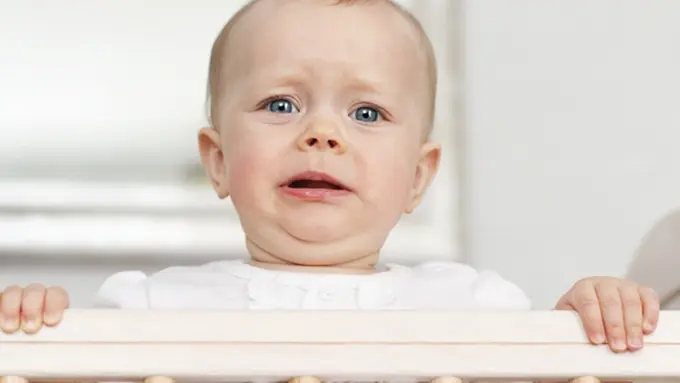 Foto: copyright thinkstockphotos.com