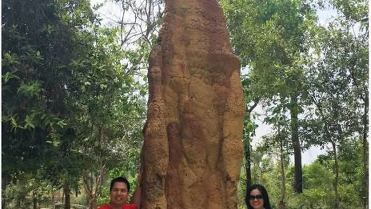 Musamus, Keajaiban Arsitektur Alam Menjadi Simbol Identitas Budaya Merauke