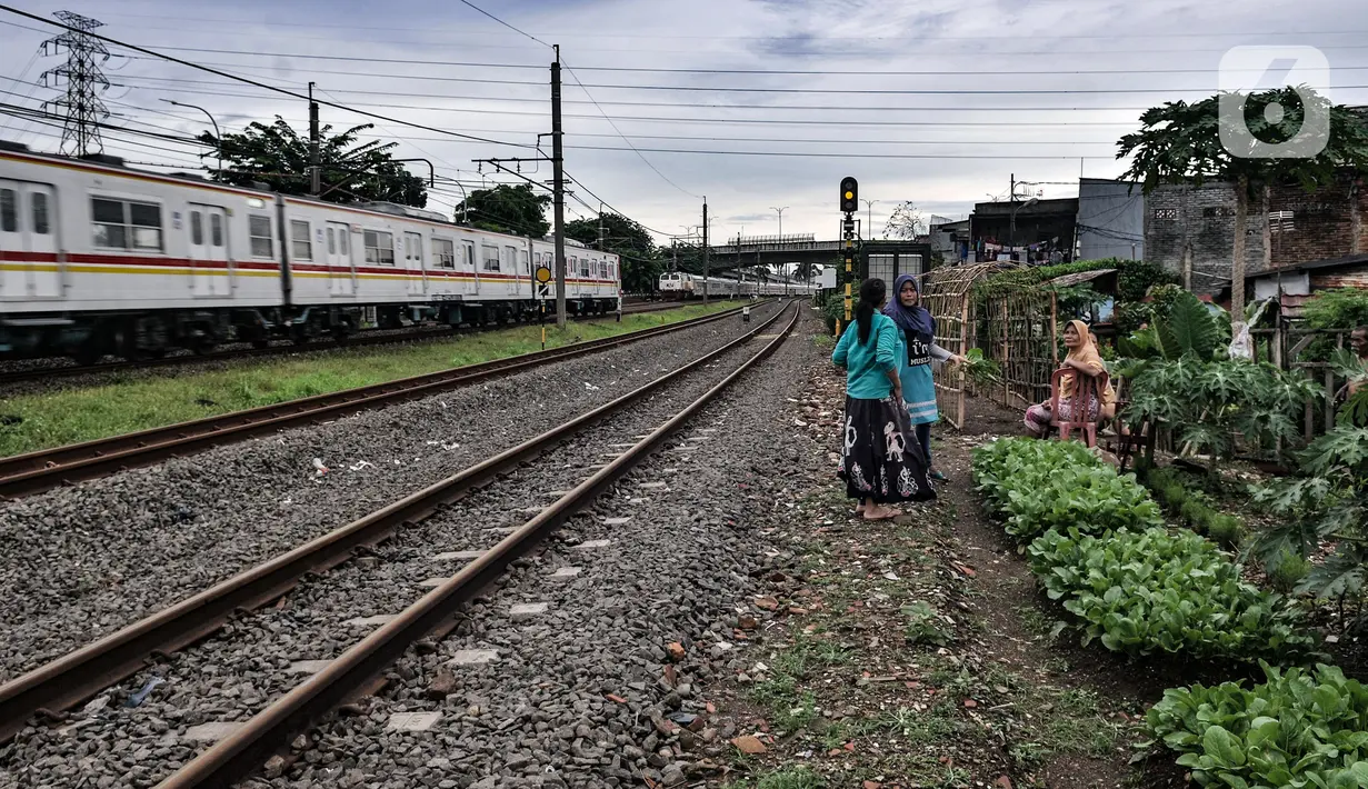 Wiwin bercengkerama disela melakukan perawatan di Kebun Kesehatan, Cipinang Lontar, Jakarta, Senin (8/3/2021). Wiwin dibantu beberapa warga dan petugas PPSU membuat kebun sayur di bantaran rel kereta guna memberikan kegiatan positif untuk warga sekitar. (merdeka.com/Iqbal S Nugroho)
