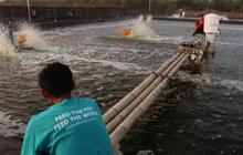 Lika-Liku eFishery: Dari Inovasi Akuakultur Jadi Startup Unicorn, Kini Terjerat Skandal Keuangan, PHK Massal, Hingga Pendirinya Dipenjara