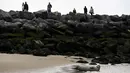 Institut Ilmu Pengetahuan Alam Kerajaan Belgia melaporkan jumlah anjing laut di negara ini telah meningkat selama 20 tahun terakhir. (John THYS / AFP)