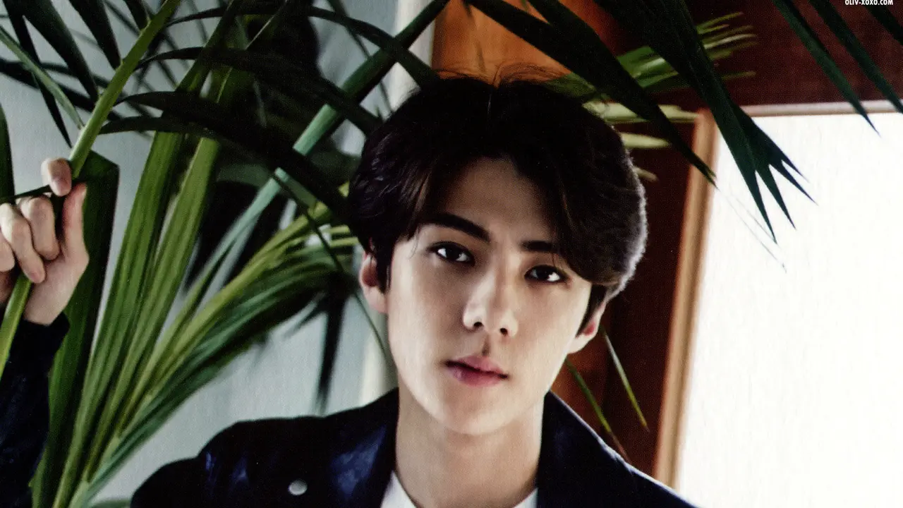 [Bintang] Sehun EXO