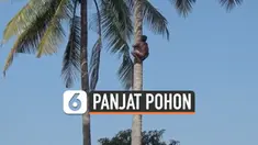 vertikal panjat pohon