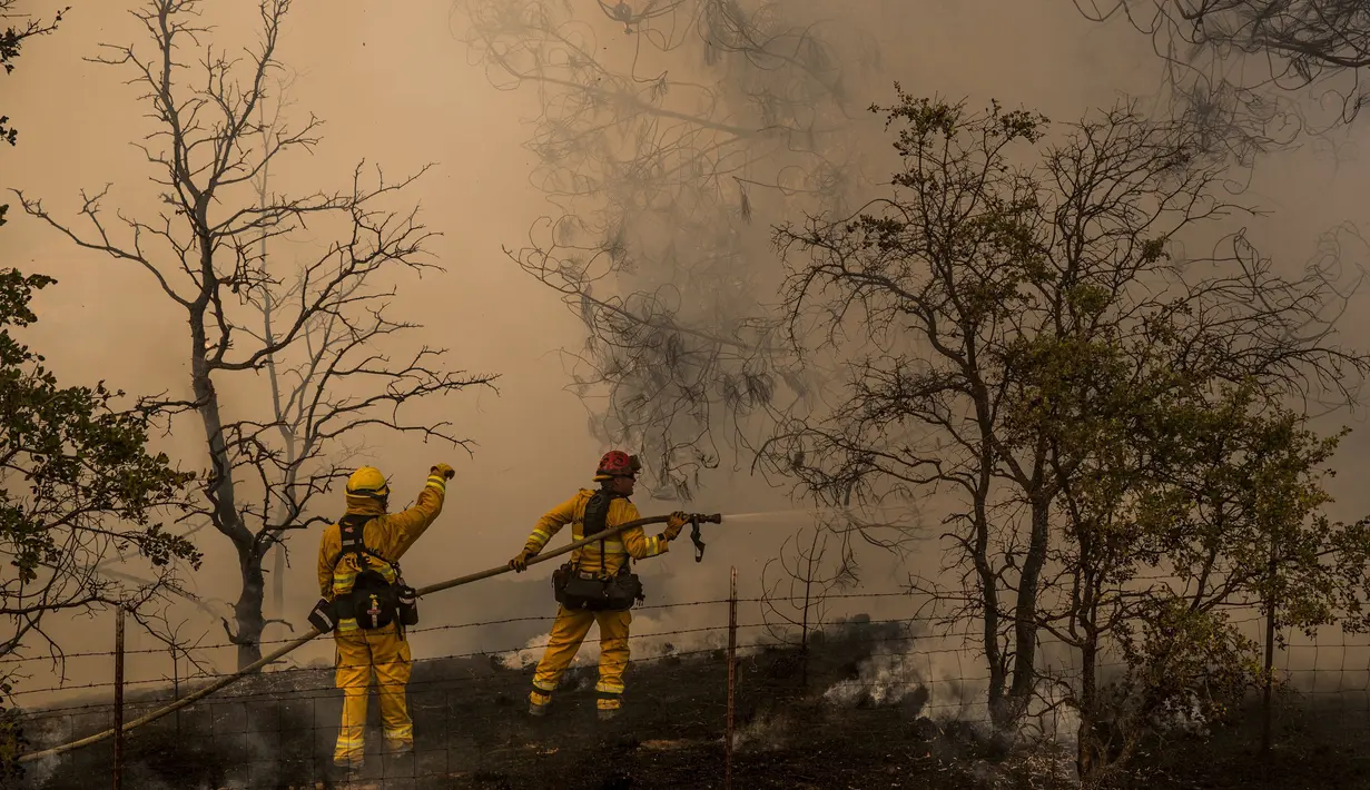 Seorang petugas pemadam kebakaran sedang memadamkan lahan yang terbakar di kawasan Rocky Fire, San Francisco, California, Kamis (30/7/2015). Belum diketahui penyebab pasti terbakarnya wilayah Rocky Fire. (REUTERS/Max Whittaker)