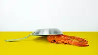 Ilustrasi lobster | Toa Heftiba Şinca dari Pexels