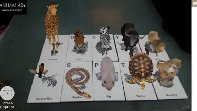 animal 4d 2