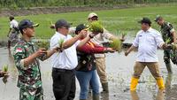 Pemerintah Optimistis Program Cetak Sawah Mampu Penuhi Kebutuhan Beras Nasional