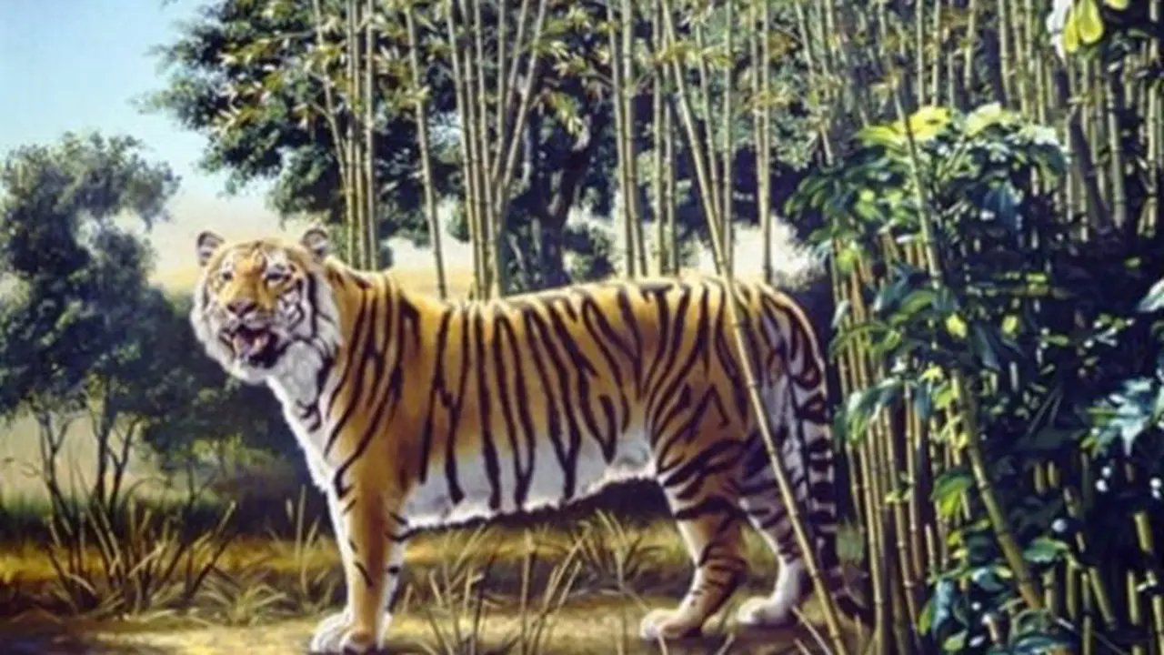 Harimau