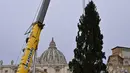 Sebuah derek mengangkat pohon cemara berusia 113 tahun dan setinggi 28 meter di Lapangan Santo Petrus, untuk dijadikan pohon Natal, di Vatikan, Selasa (23/11/2021). Hadiah dari kota Andalo di timur laut Italia itu akan menyala pada 10 Desember mendatang. (Alberto PIZZOLI / AFP)