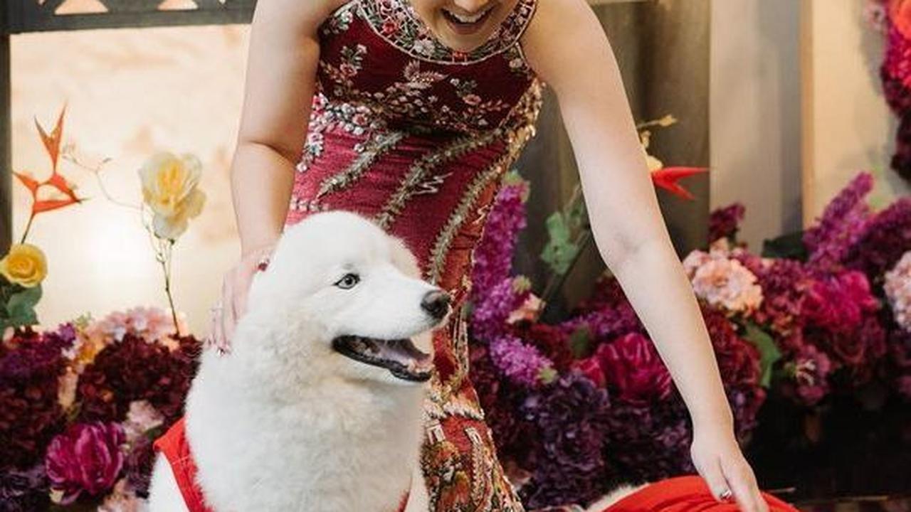 Momen menggemaskan juga terjadi saat Tina Toon asik bermain dengan kedua anjing peliharaan yang juga dihadirkan dalam acara tersebut.