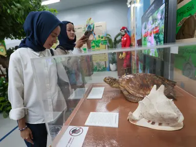 Pengunjung melihat koleksi penyu sisik dan kerang kepala kambing dalam pameran “Hutan dan Peradaban: Dari Ekosistem Kehidupan Menuju Masa Depan” yang digelar gratis di area publik Stasiun MRT Bundaran HI, Jakarta, Senin (12/10/2026).(KLY/Budy Santoso)