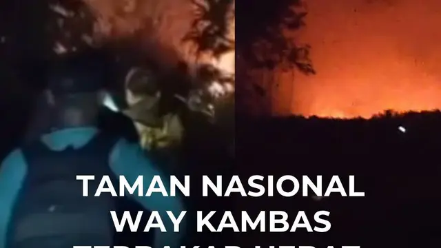 Taman Nasional Way Kambas Terbakar Hebat, Petugas Jibaku Padamkan Api